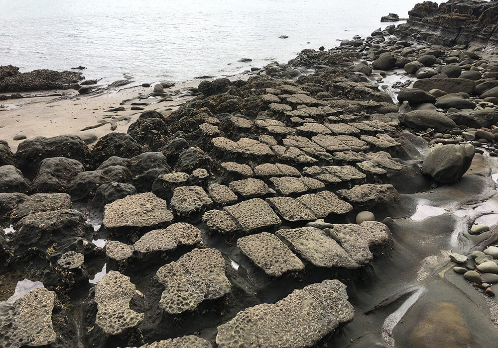 shakespear-regional-park-beach